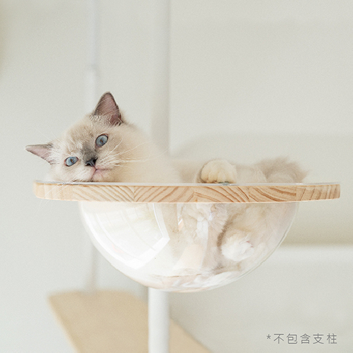 太空艙窩【含木托板】 | 創造最愛視角