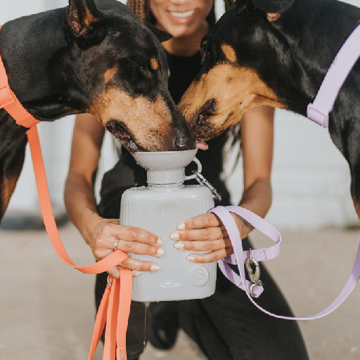 Springer Pets 寵物飲水瓶-1300ML Growler Dog Travel Bottle 圖 5