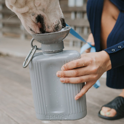 Springer Pets 寵物飲水瓶-1300ML Growler Dog Travel Bottle 圖 4