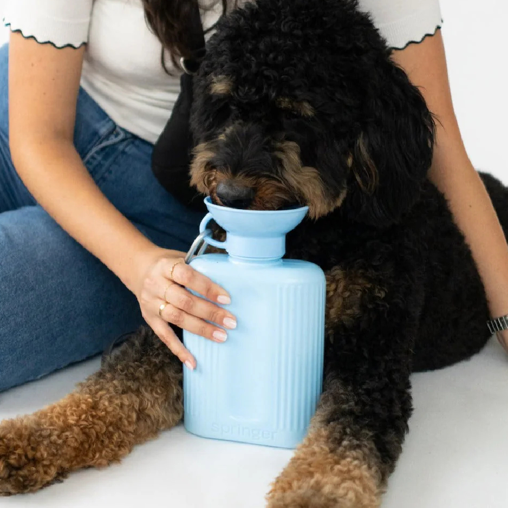 Springer Pets 寵物飲水瓶-1300ML Growler Dog Travel Bottle 圖 6