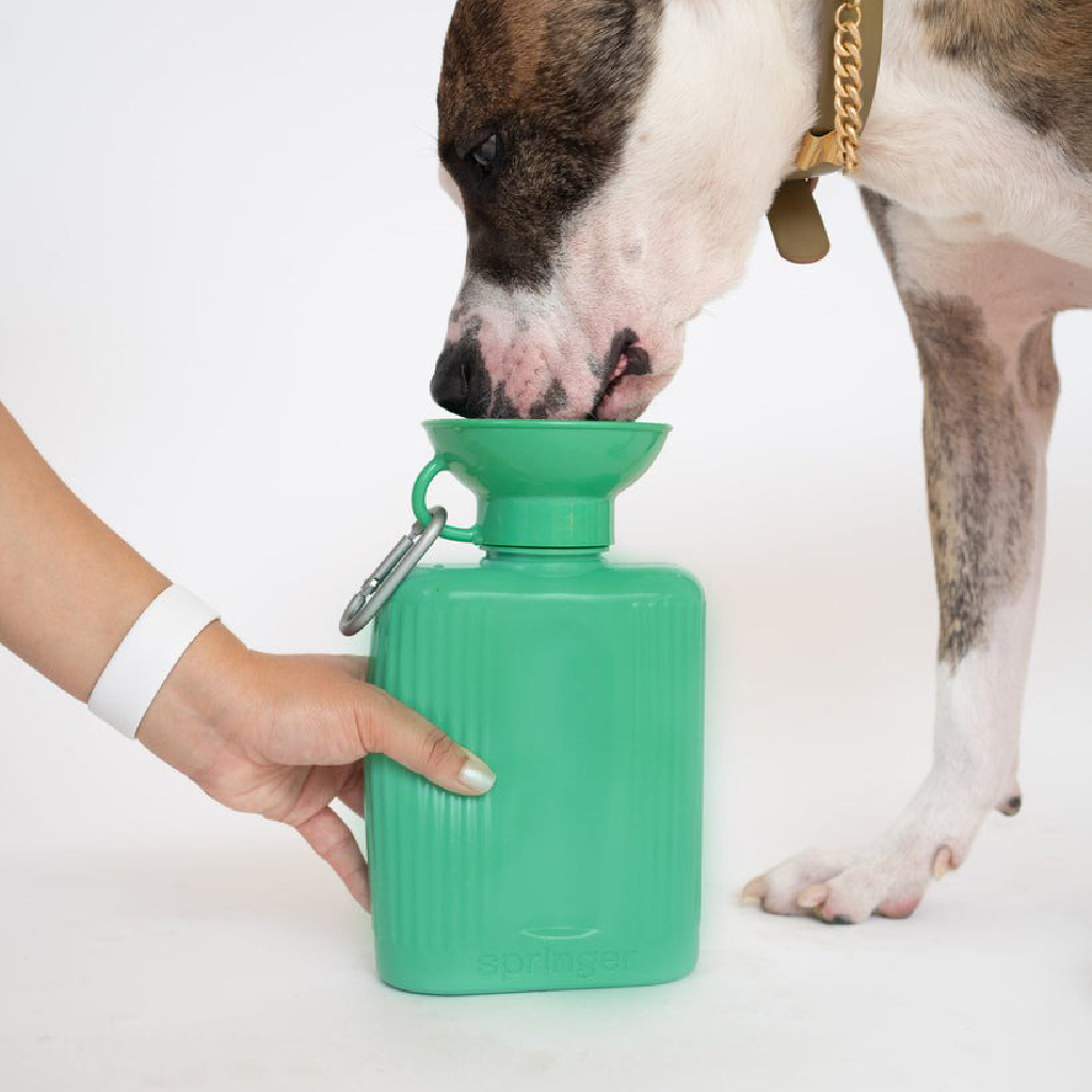 Springer Pets 寵物飲水瓶-1300ML Growler Dog Travel Bottle 圖 7