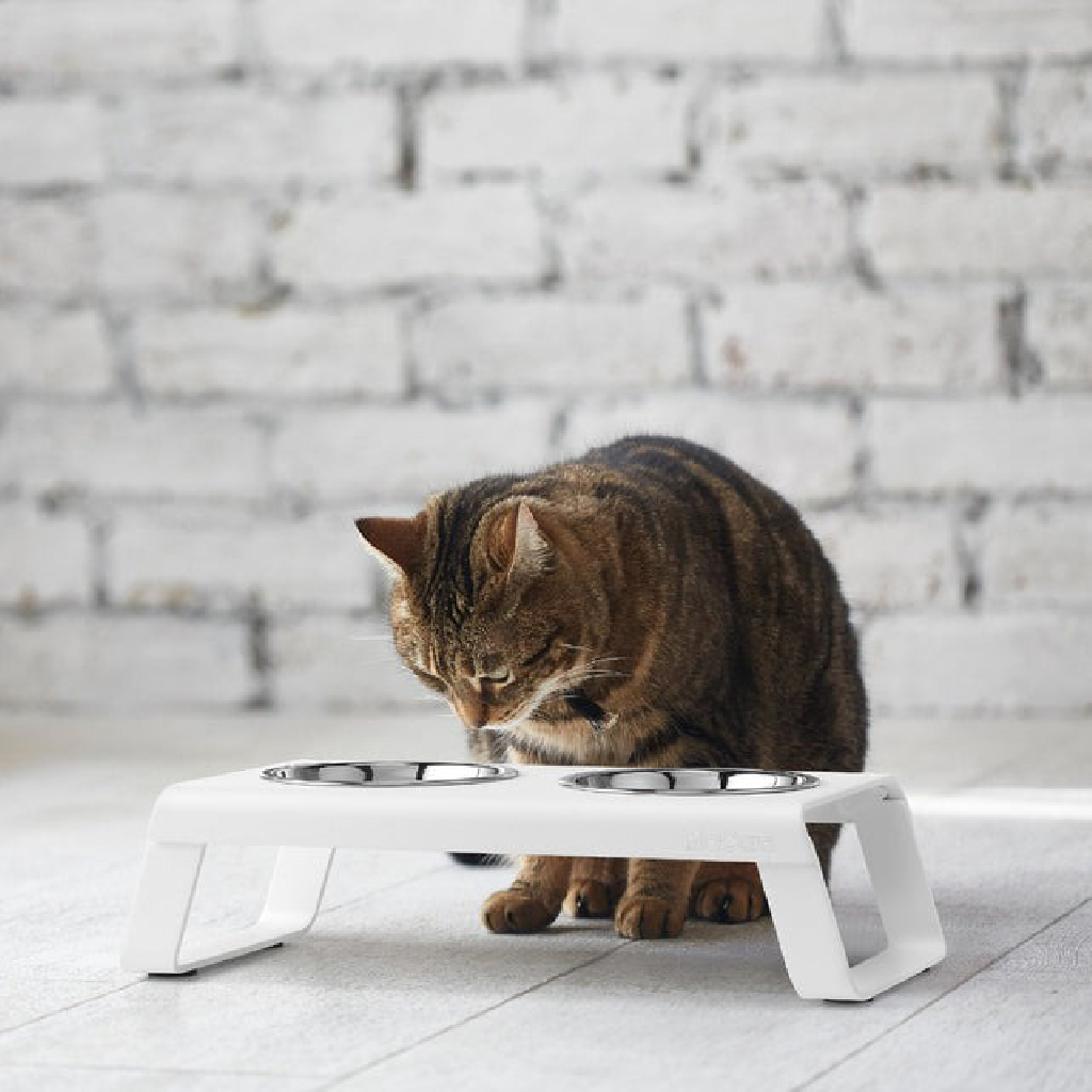 德國 MiaCara Desco 雙碗不鏽鋼食器組|抗氧化與防鏽鋁架體 圖 6