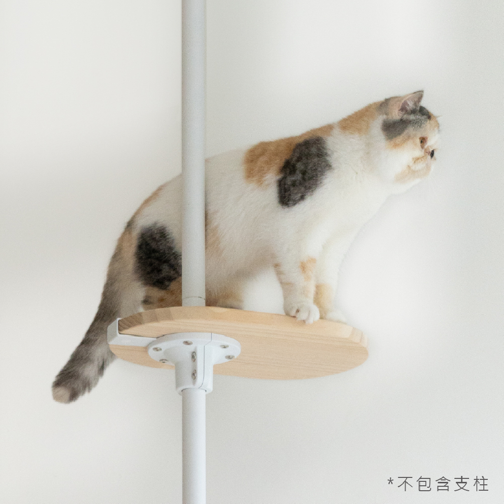 實木跳板 | 量身打造貓咪動線 圖 3