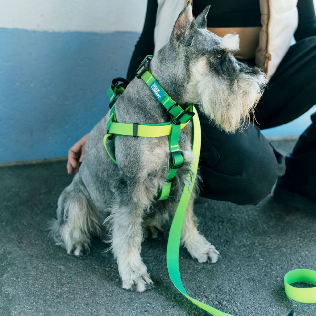 加拿大 Woof Concept Lime Margarita 系列｜防水胸背帶 圖 5