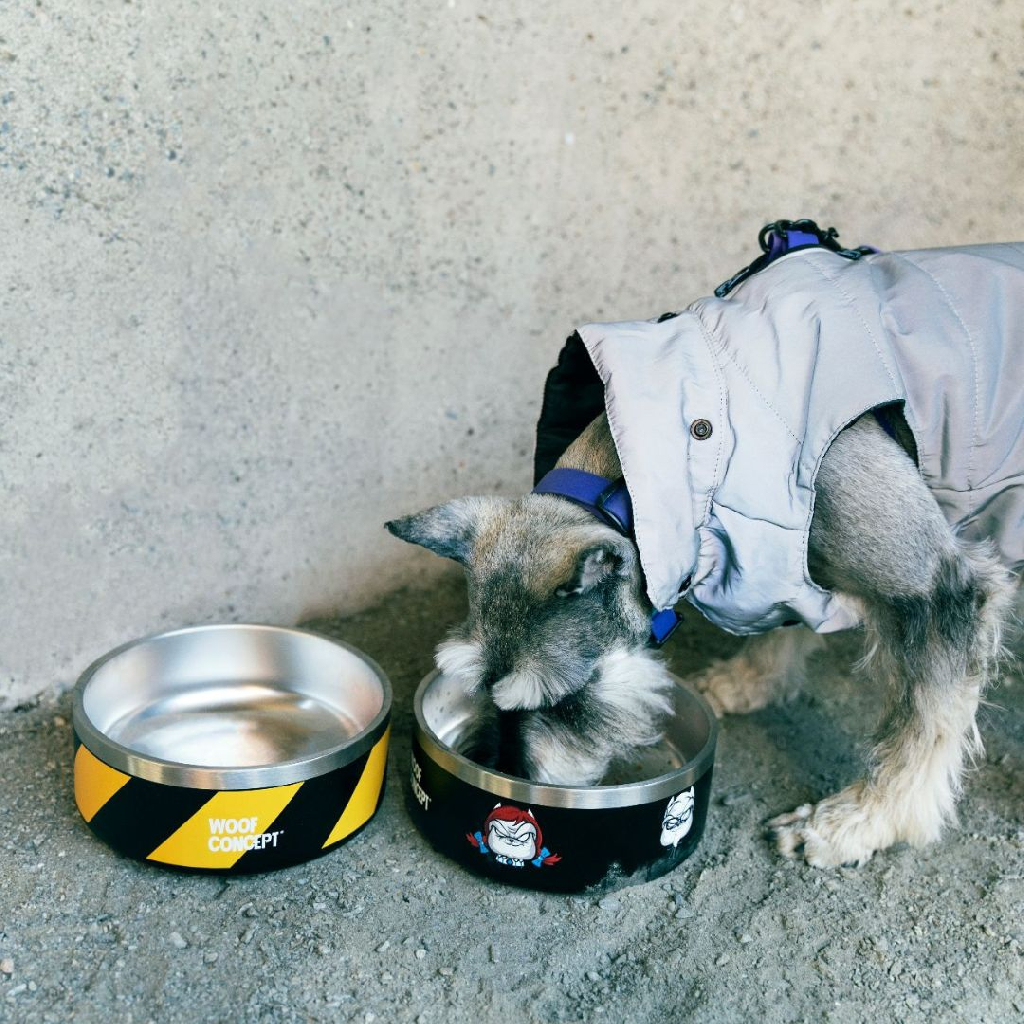 加拿大 Woof Concept Get Your Own Bowl|狗狗專用食碗 圖 4