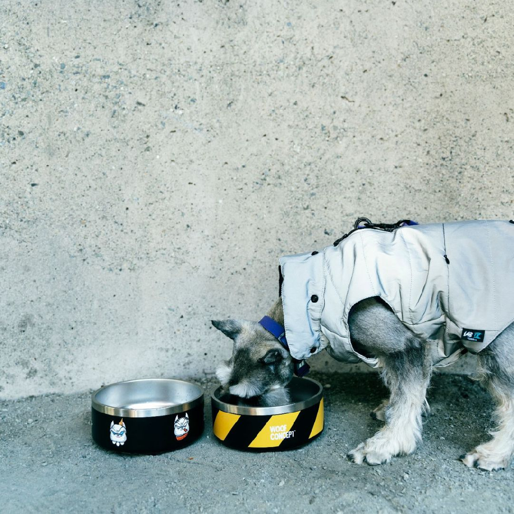 加拿大 Woof Concept Get Your Own Bowl|狗狗專用食碗 圖 5