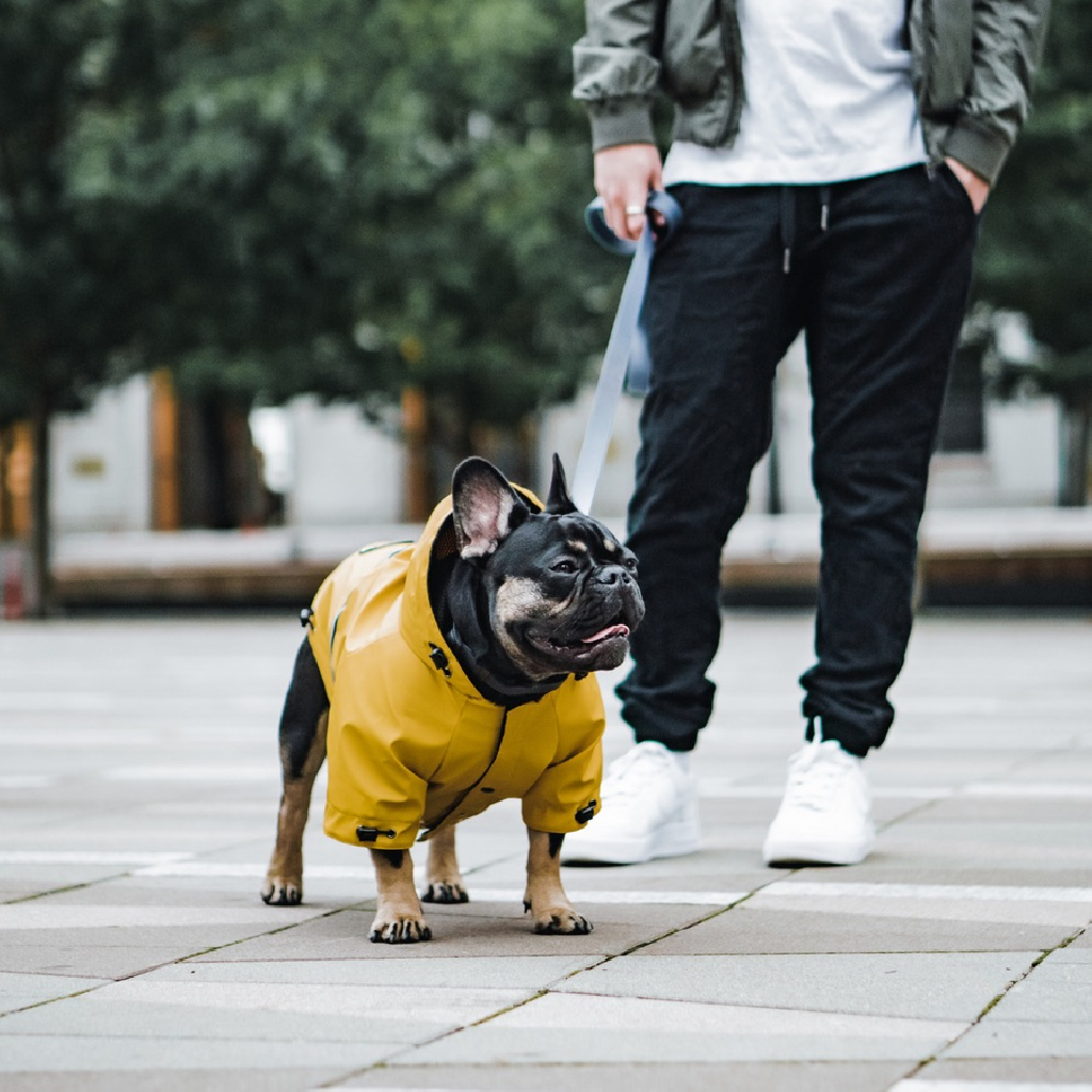 加拿大 Woof Concept Hurricane 狗狗雨衣 圖 3