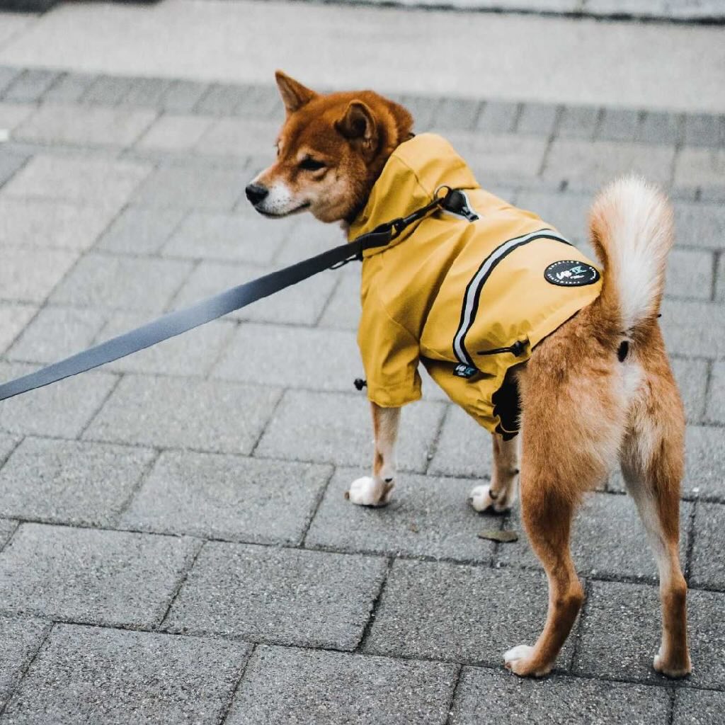 加拿大 Woof Concept Hurricane 狗狗雨衣