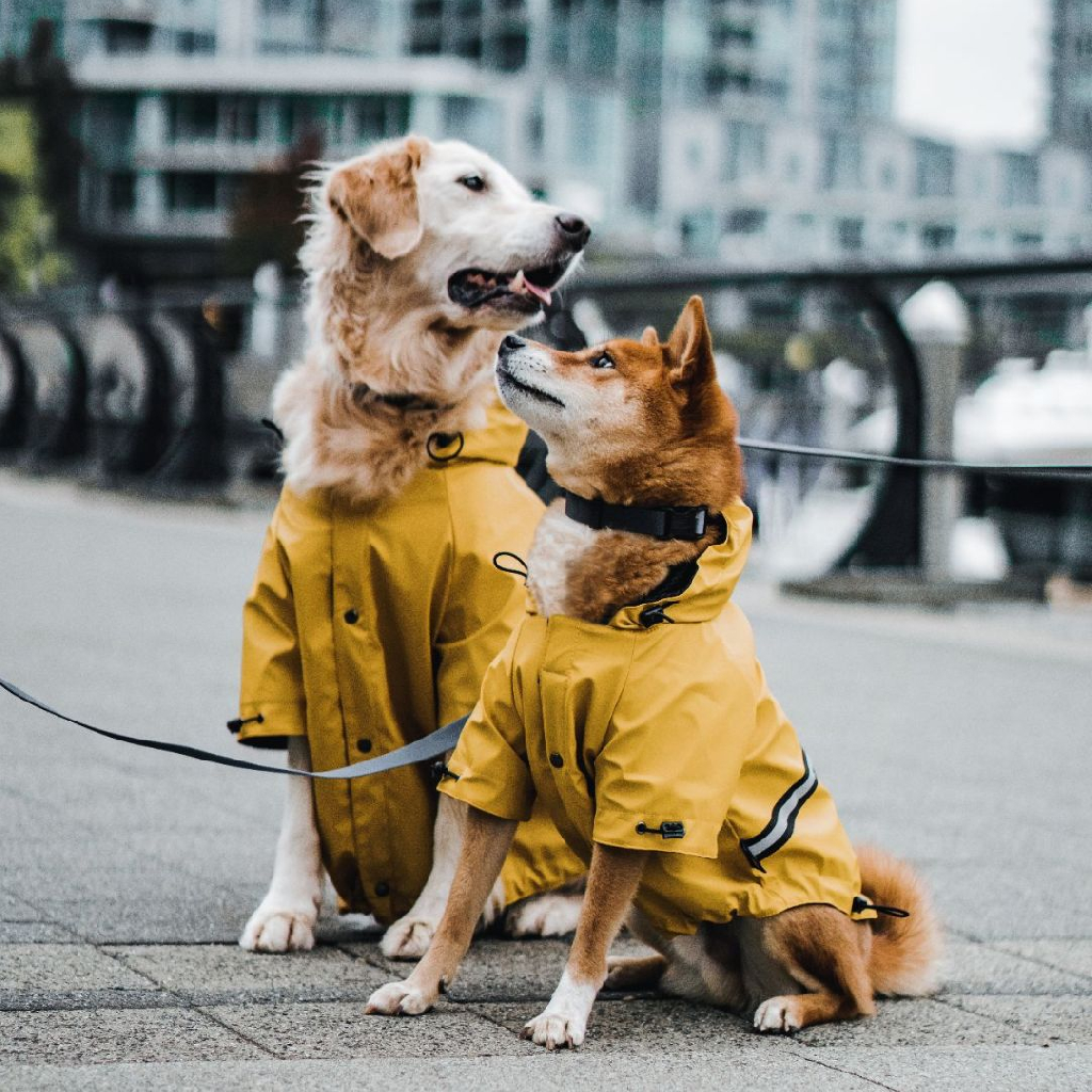 加拿大 Woof Concept Hurricane 狗狗雨衣 圖 2