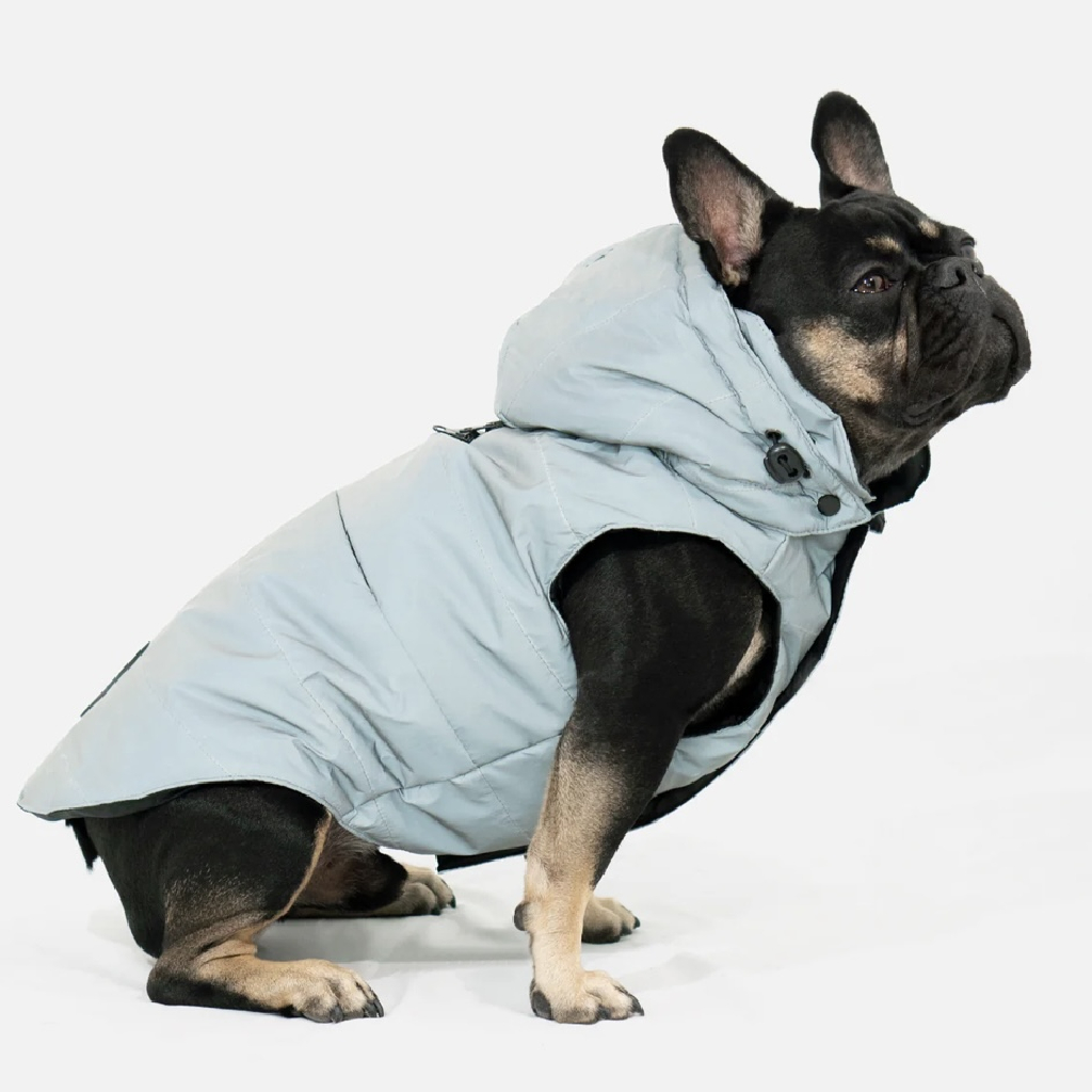 加拿大 Woof Concept Blizzard 防潑水羽絨背心|狗狗保暖外套 圖 4