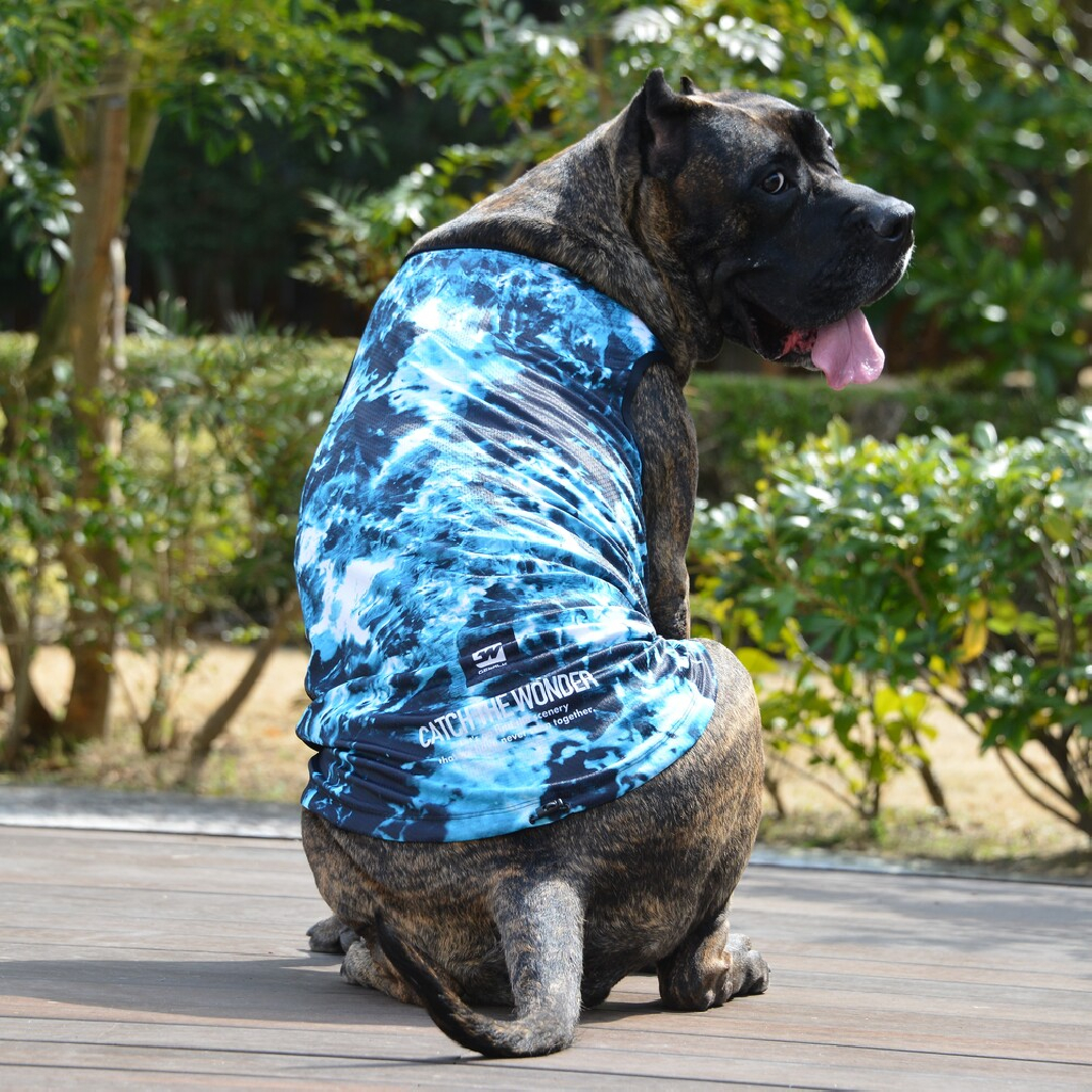 GW505 主動冷卻背心 圖 6