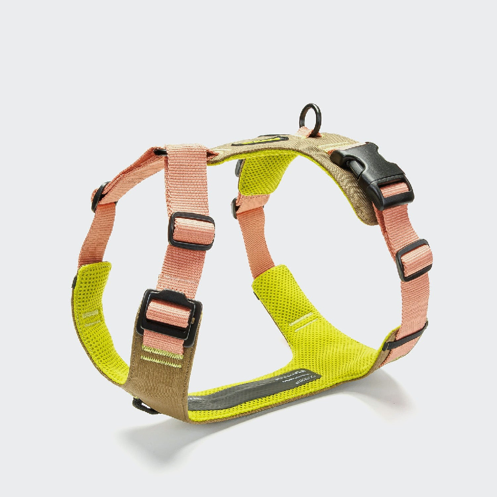 德國 Cloud7 AKTIV 胸背帶 Y-2 圖 2