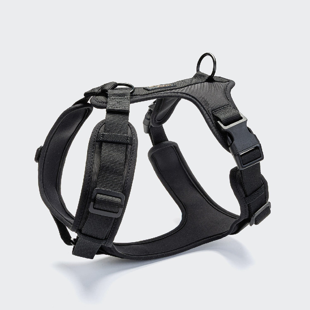 德國 Cloud7 AKTIV 胸背帶 Y-3 圖 4