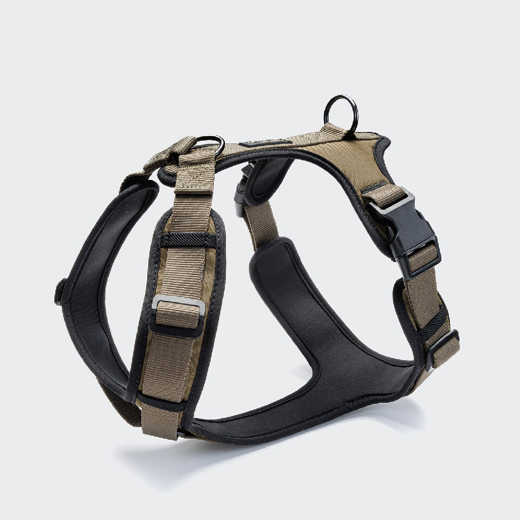 德國 Cloud7 AKTIV 胸背帶 Y-3 圖 5