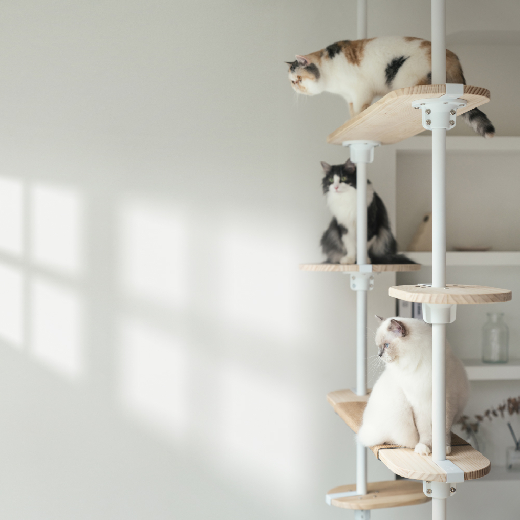 木質系貓跳台 精選款 木質系貓跳台 精選款