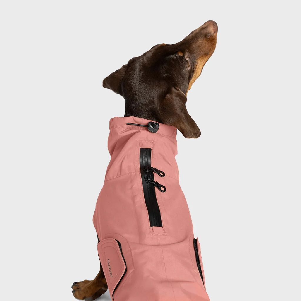 德國 Cloud7 Dublin 2.0 狗雨衣|臘腸犬專用 圖 8
