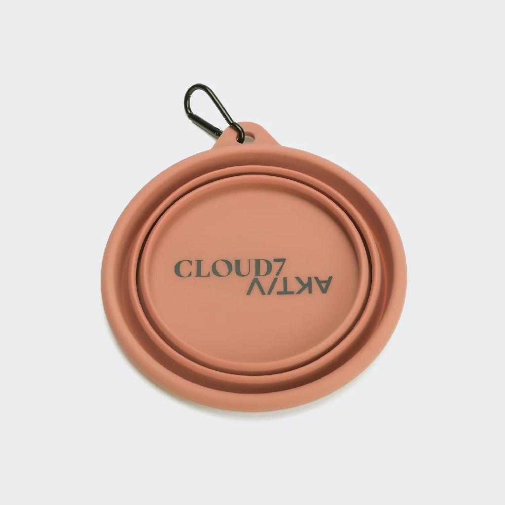 德國 Cloud7 AKTIV 旅行摺疊碗 圖 6