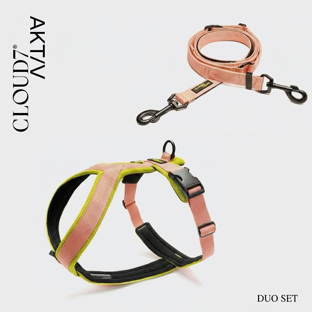 德國 Cloud7 外出雙件組 | AKTIV L-1 牽繩 + Y-1 胸背帶-蜜桃色