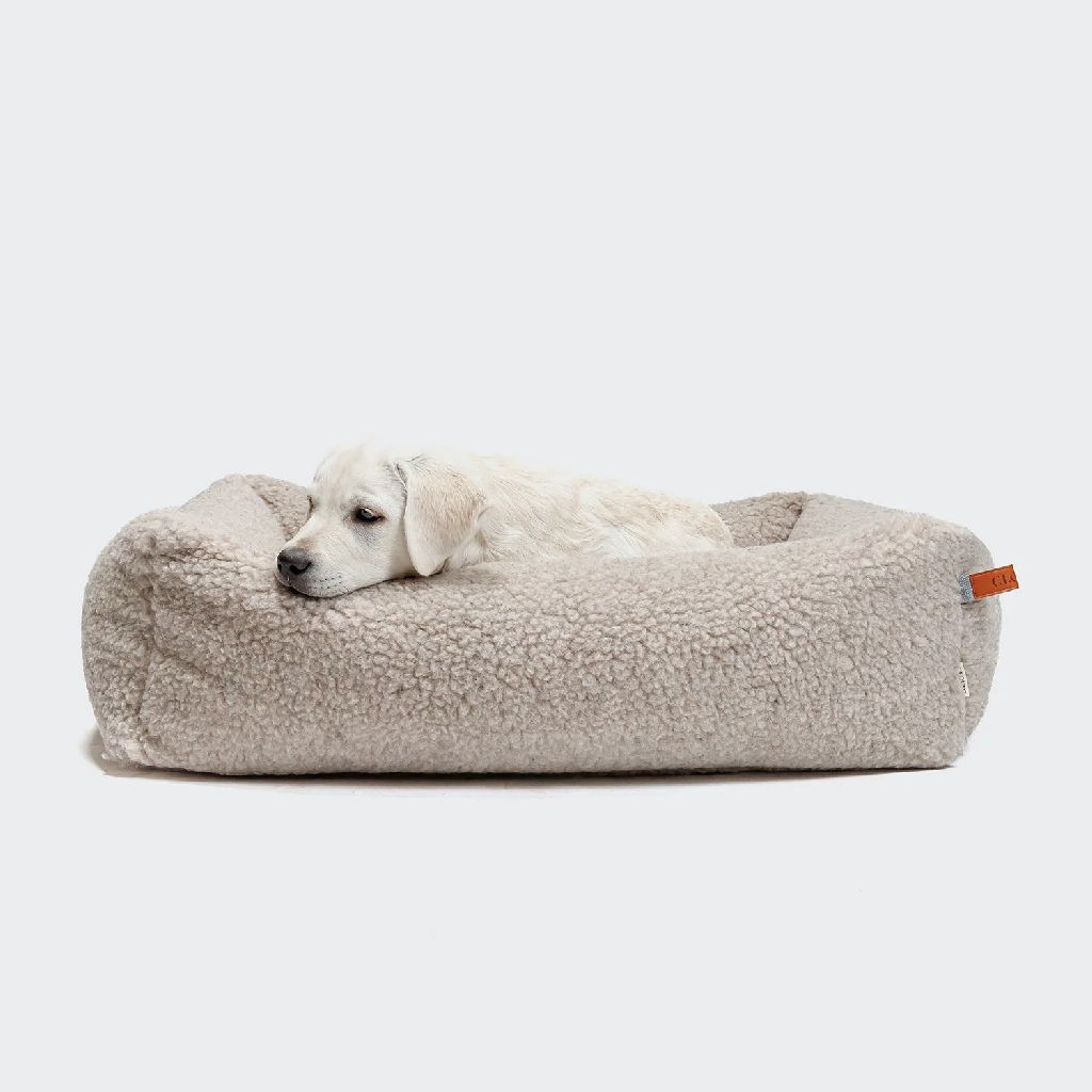 德國 Cloud7 Sleepy Deluxe|泰迪絨犬睡床 M