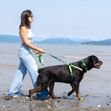 [島主怎麼說] 寵物戶外裝備怎麼挑？5 個理由選擇 Woof Concept 軍規級牽繩與胸背