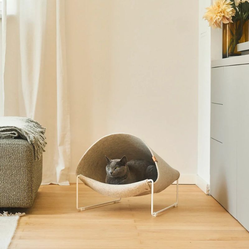 貓與洞穴的秘密:為什麼牠們需要一個專屬的安全空間?