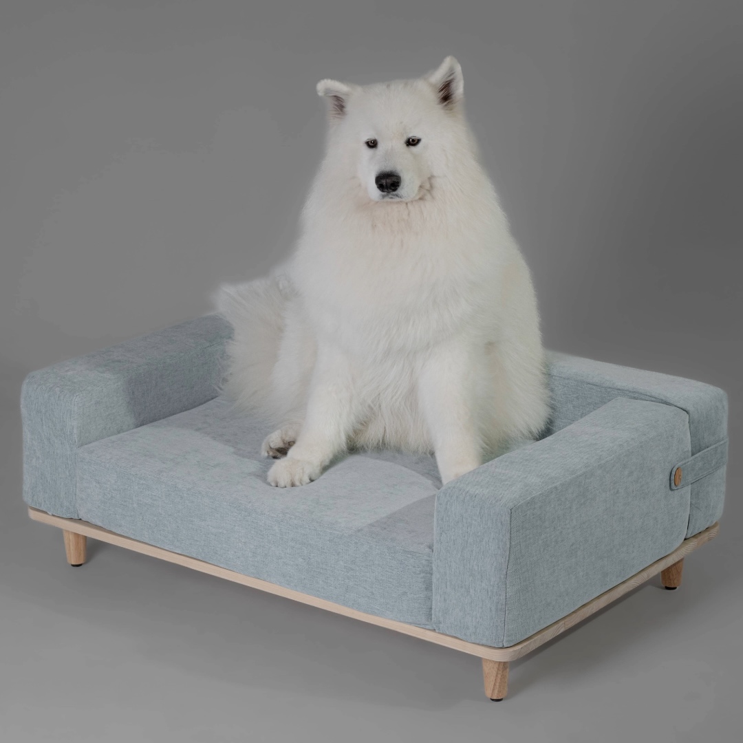 哪些品種的狗最怕冷？常見怕冷犬種與冬季保暖指南