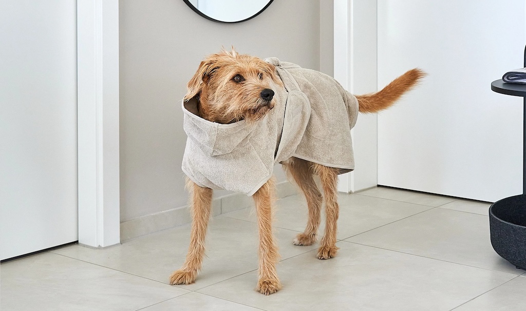 從玄關到客廳的「生理緩衝帶」—— Bagno 為老犬守住雨天的最後一哩路