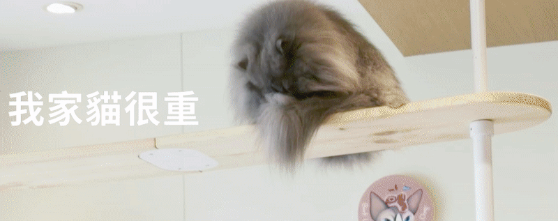 HUG 天空步道 實木走道 主視覺圖