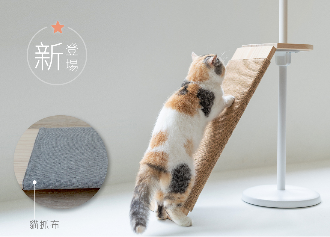 HUG 貓抓斜坡 主視覺圖