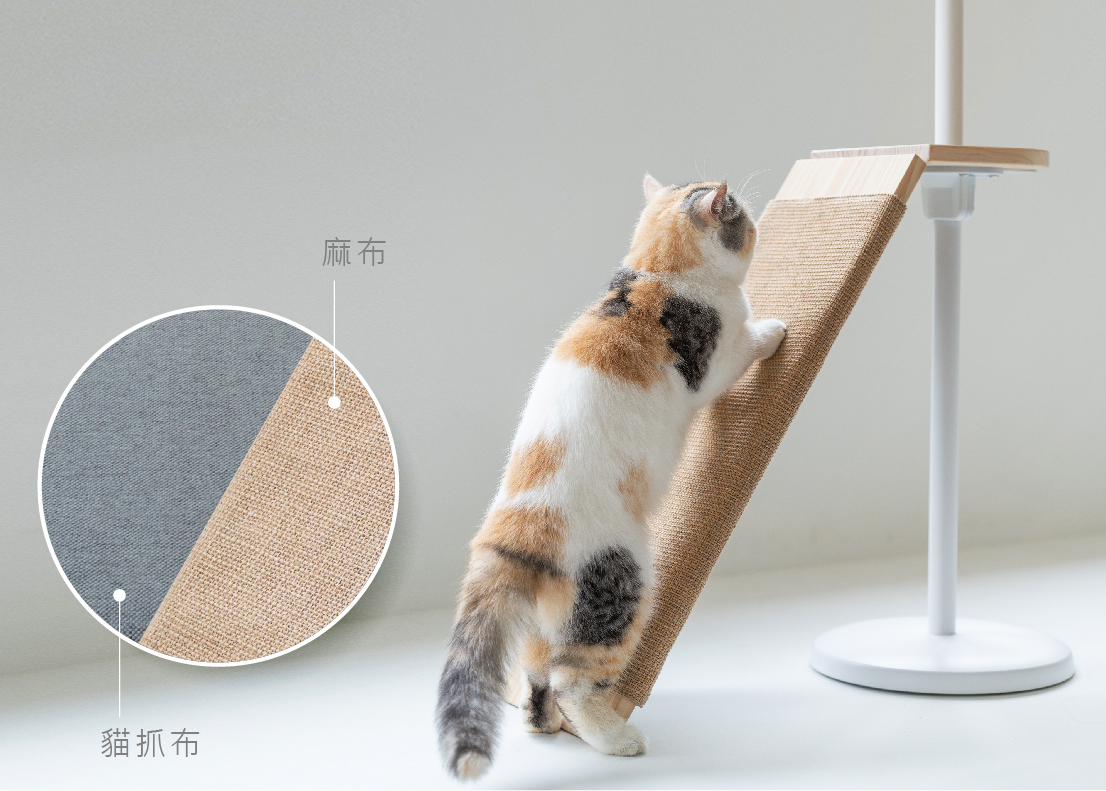 HUG 兩用貓抓布 主視覺圖