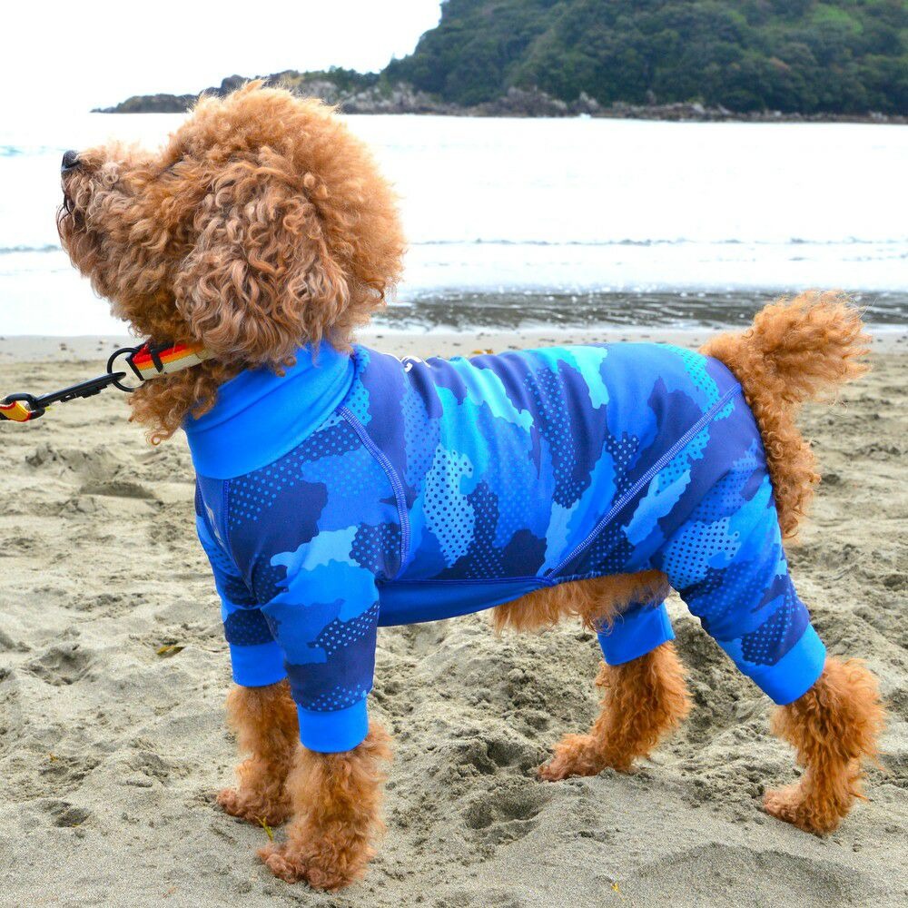 山林溯溪與雨天散步情境