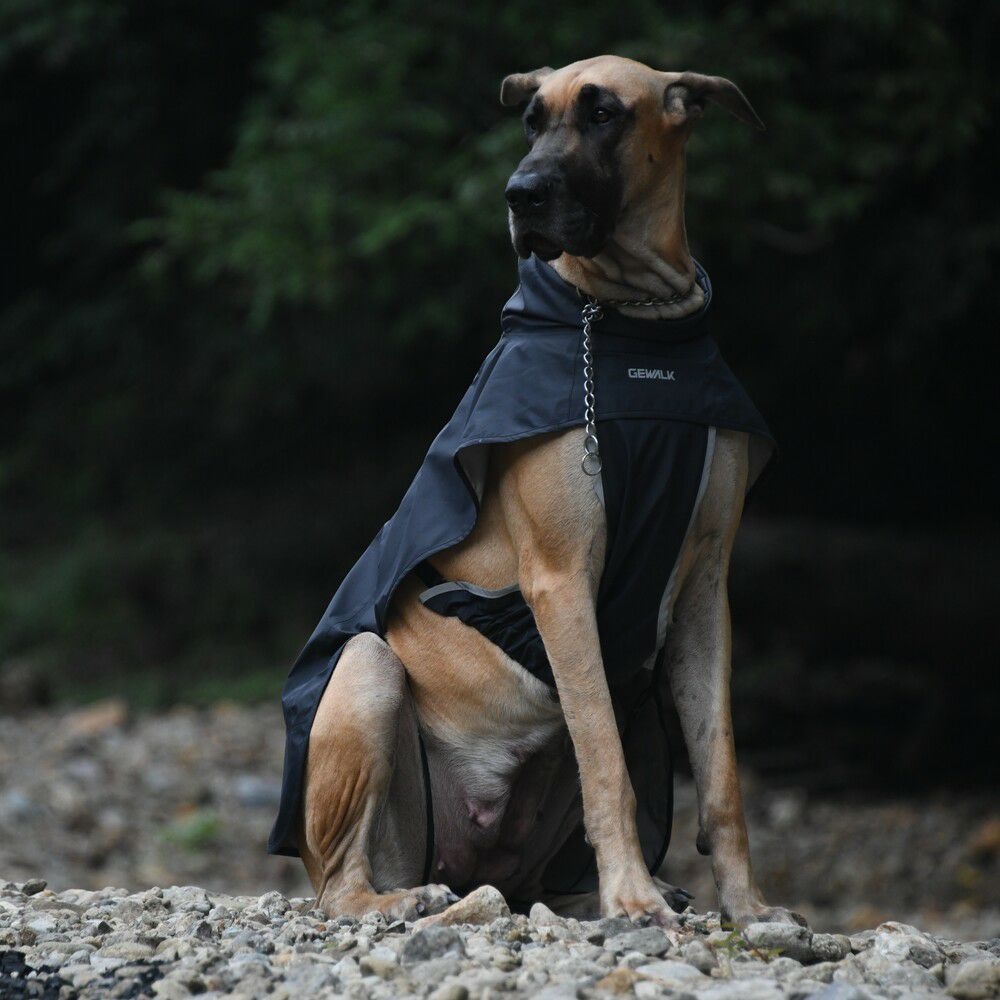 水洗與晾乾保養