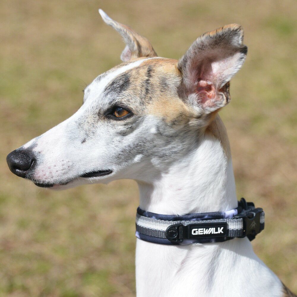 GEWALK GW103 山行者野系項圈 主視覺圖