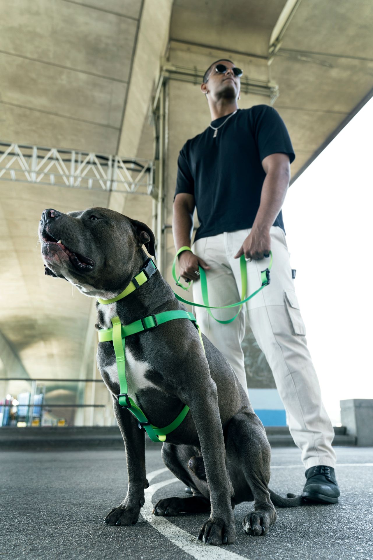 加拿大 Woof Concept 防水胸背帶青檸特寫