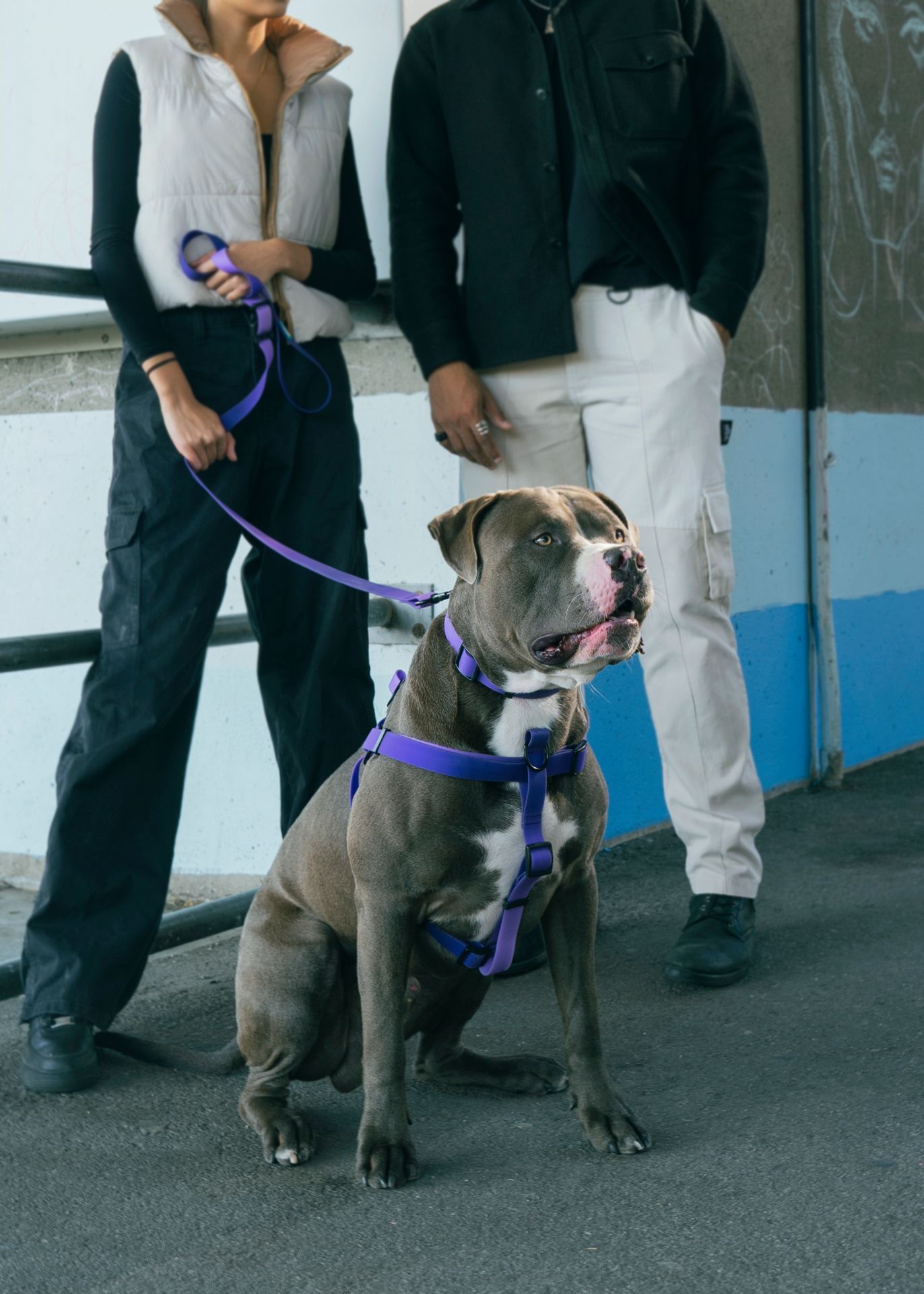 加拿大 Woof Concept Empress 防水胸背帶 主視覺圖