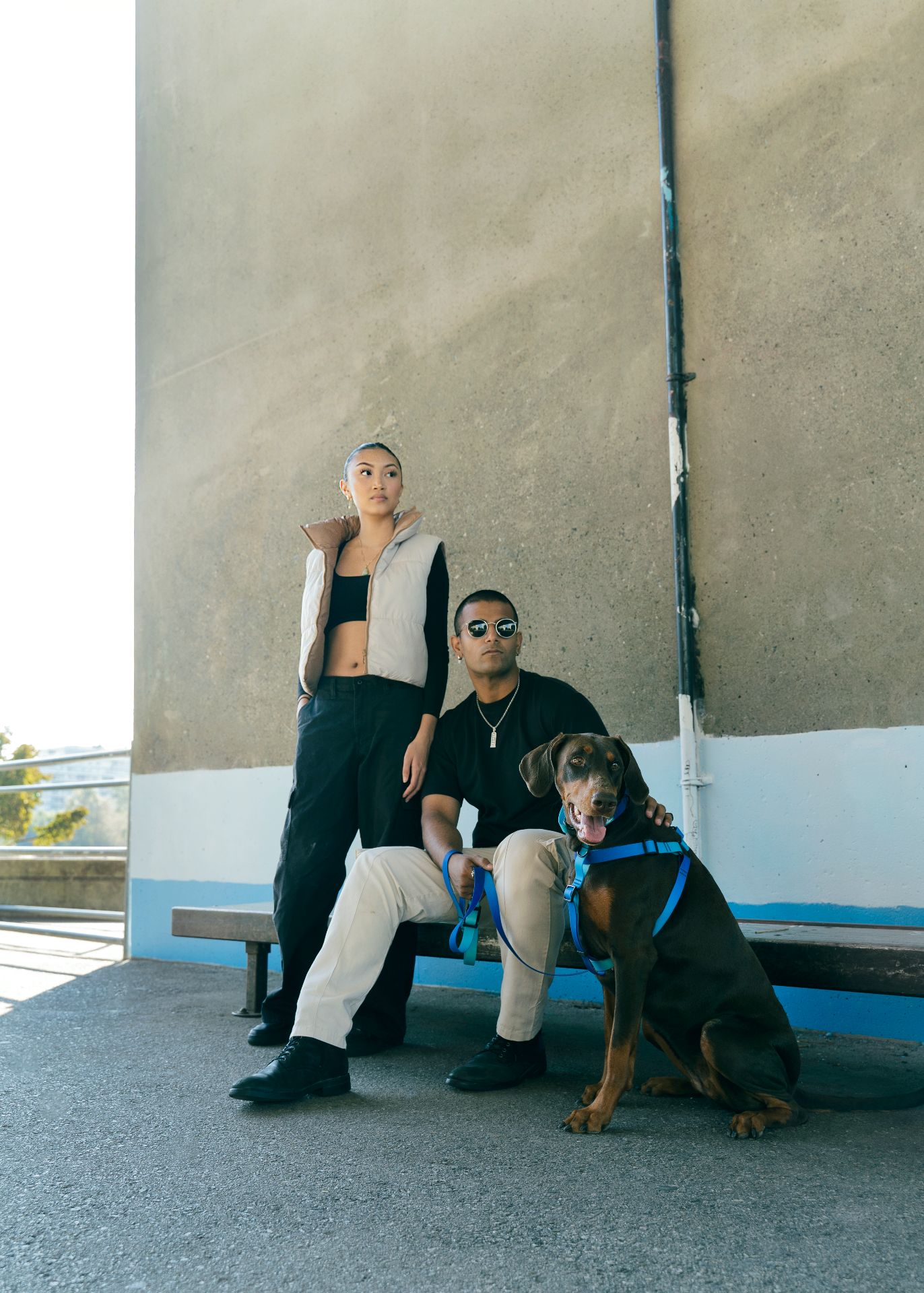 加拿大 Woof Concept Blue Hawaiian 防水胸背帶 主視覺圖