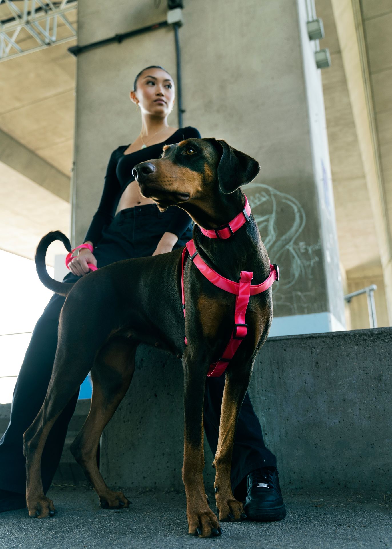 加拿大 Woof Concept Cosmopolitan 防水胸背帶 主視覺圖