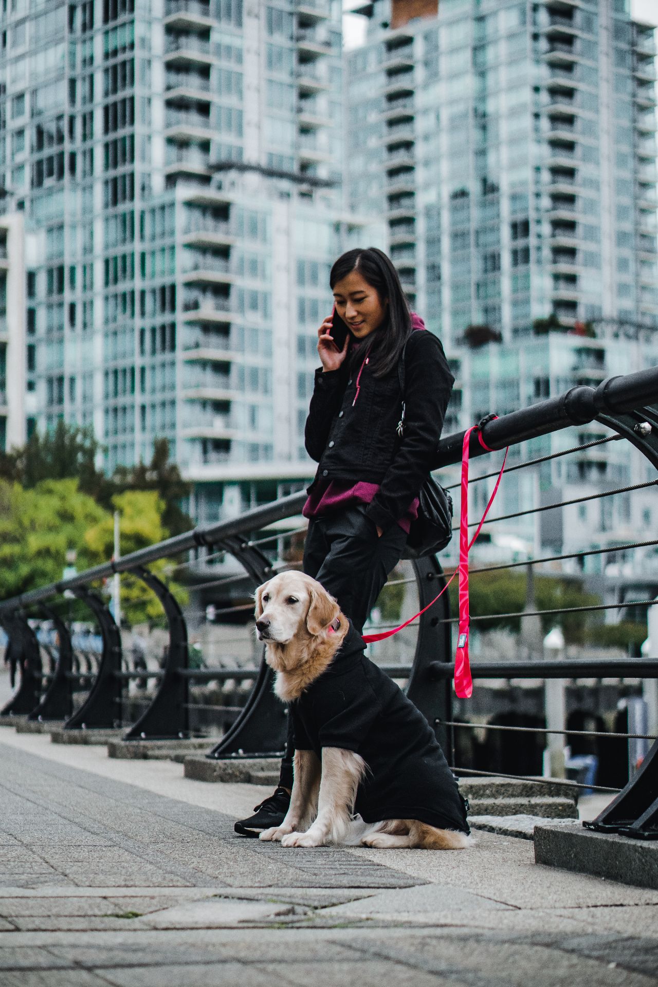 加拿大 Woof Concept Cosmopolitan 防水牽繩 主視覺圖