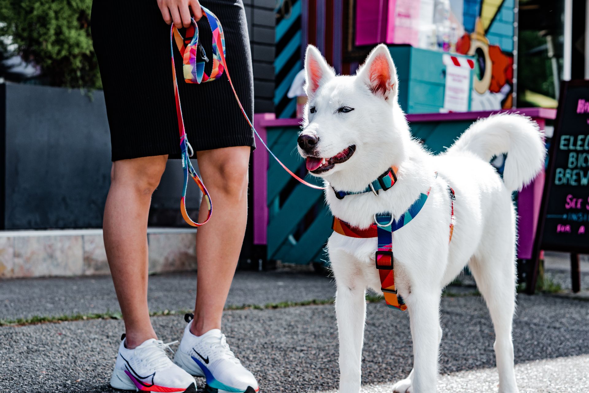 加拿大 Woof Concept Polygon 2 系列胸背帶 主視覺圖