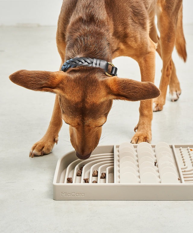 適用全犬種與幼犬成犬