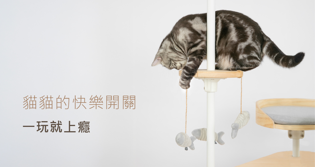 貓咪高空伸爪撈魚情境