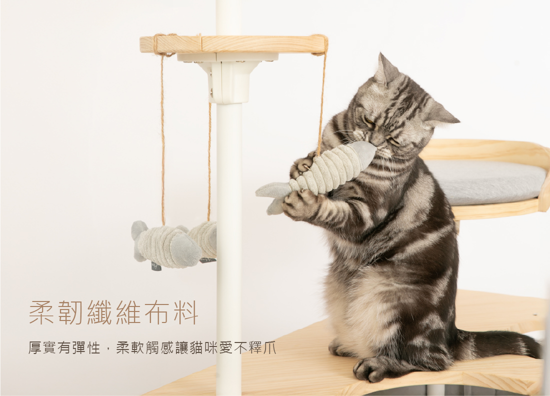 貓咪高空伸爪撈魚情境