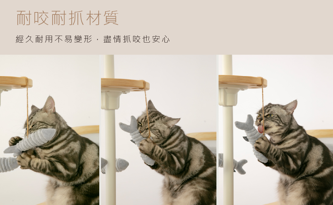 貓咪高空伸爪撈魚情境