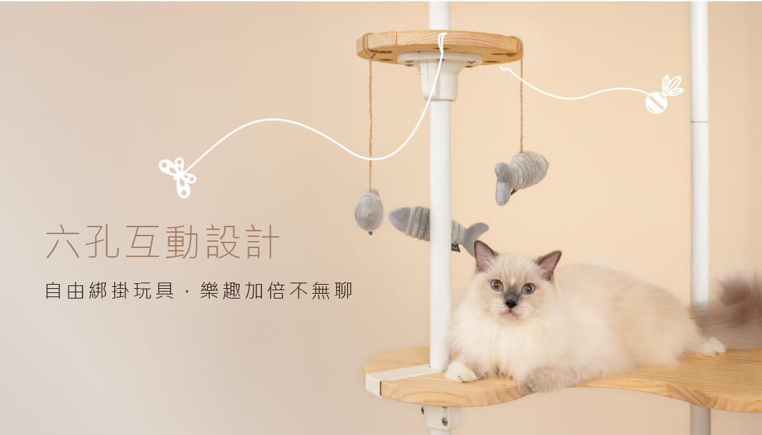 貓咪高空伸爪撈魚情境