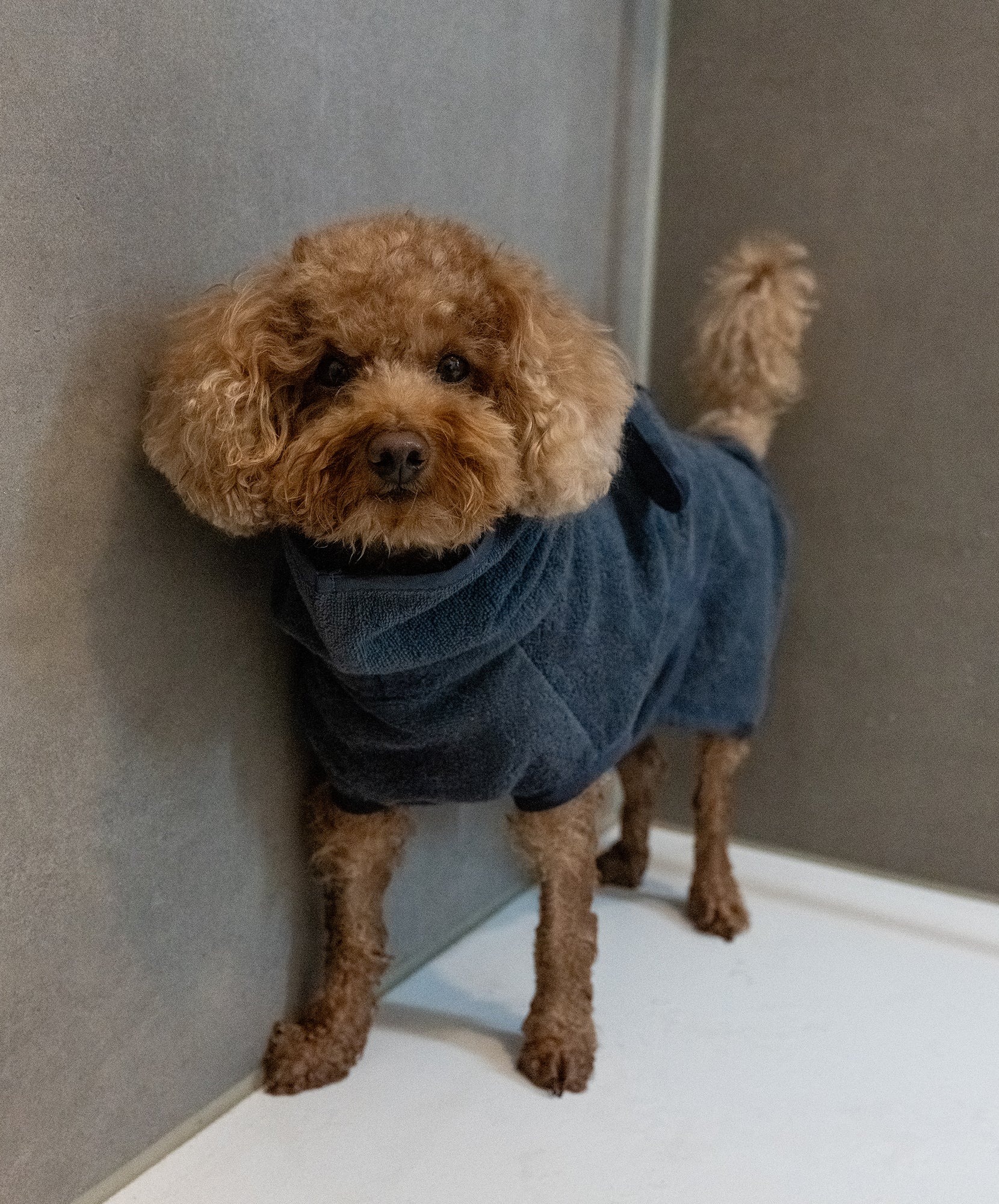 下雨散步返家與戲水情境
