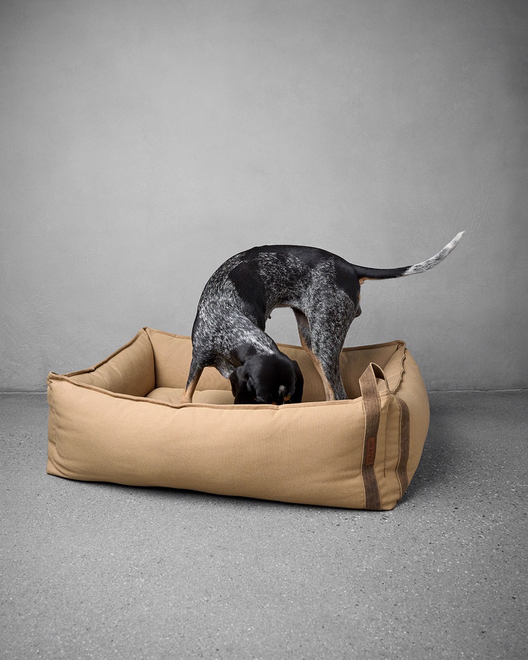 德國 Cloud7 Boost Canvas 犬睡床 主視覺圖