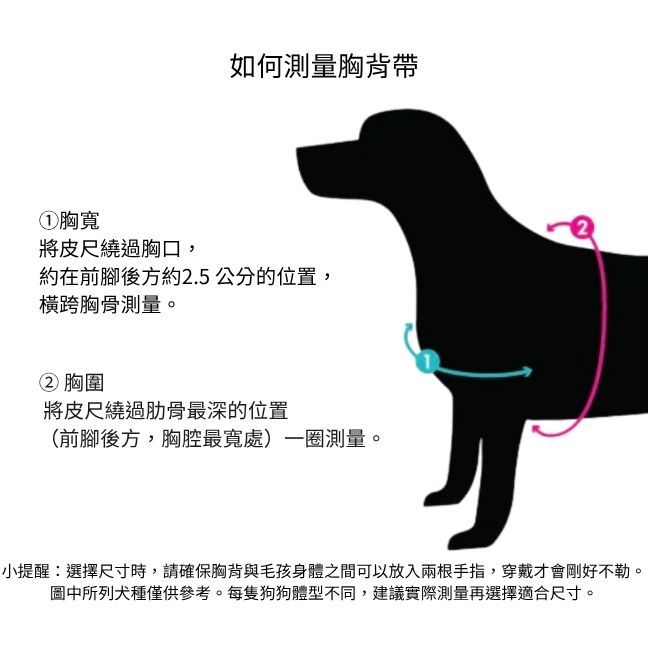 加拿大 Woof Concept Rebel 系列 步入式胸背帶 主視覺圖