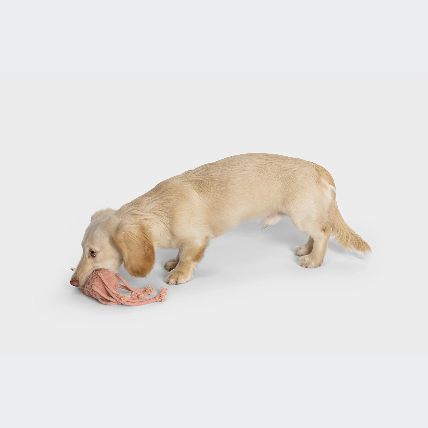 30°C機洗保養指南