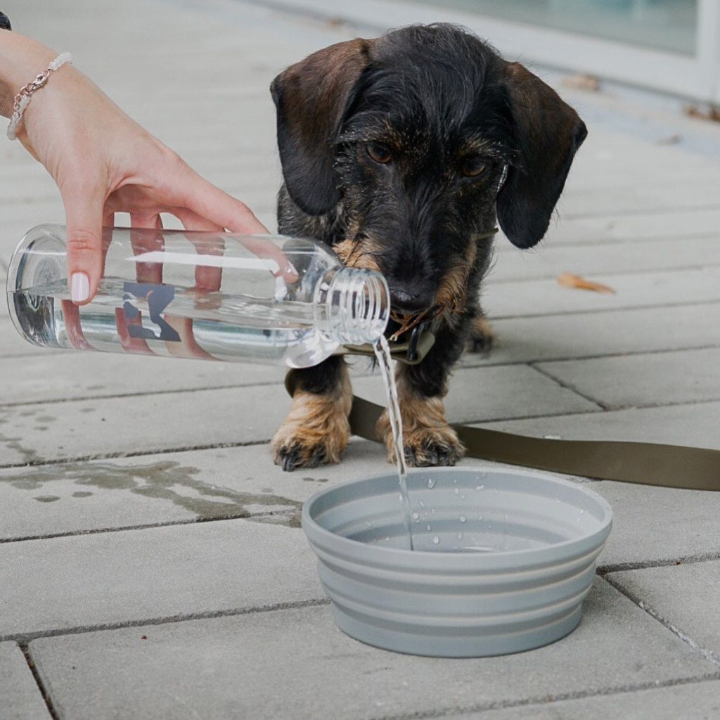 德國 MiaCara Piega 可折疊旅行碗 主視覺圖