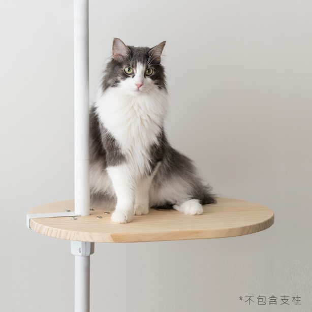 乾布擦拭保養指南